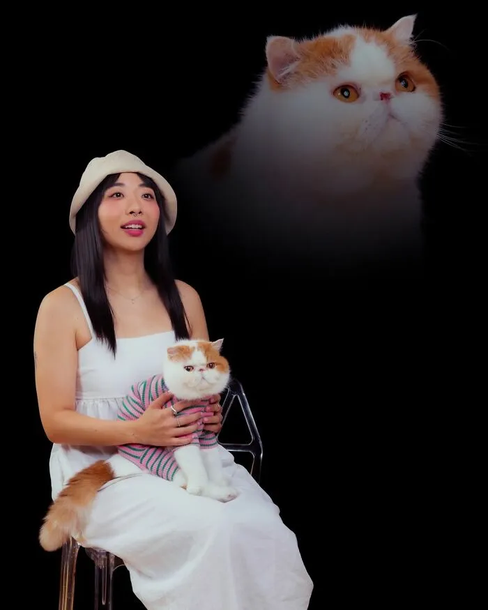 Quirky portraits of pets and their owners, showing a woman in white holding an exotic shorthair cat, with a floating cat head.