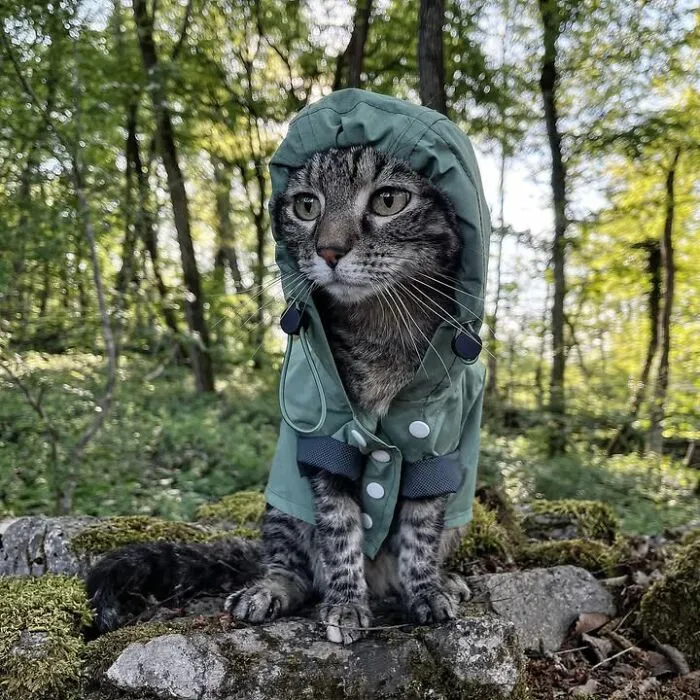 This Man Has All Kinds Of Crazy Adventures With His Cat (33 New Pics)