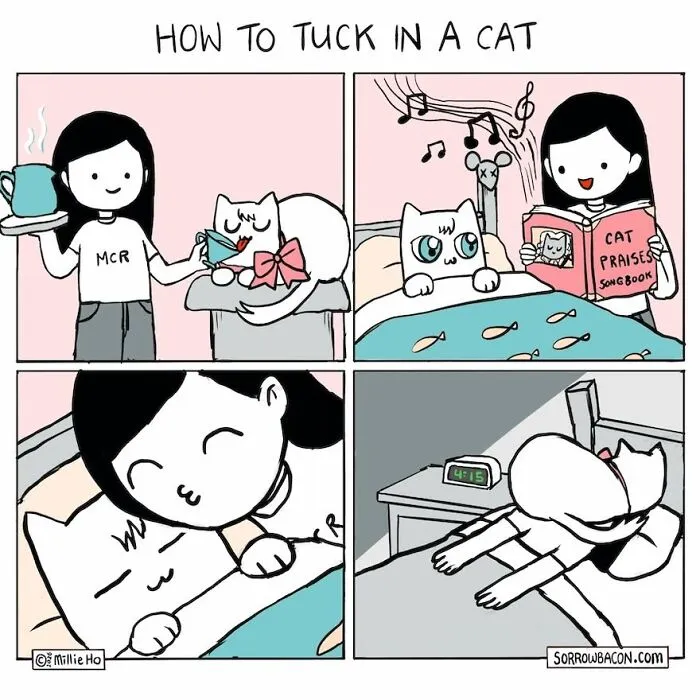 A funny comics panel illustrating the process of tucking in a cat, from preparing a drink to reading a story.