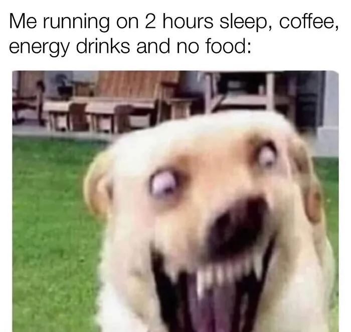 Hilarious dog meme: A dog with wide, bloodshot eyes and a maniacal grin, captioned Me running on 2 hours sleep, coffee, energy drinks and no food.