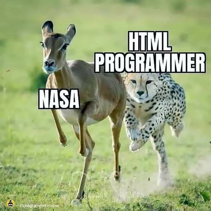 Funny meme showing HTML programmer chasing NASA with animal imagery