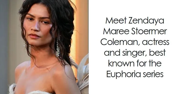 Zendaya: Bio And Career Highlights