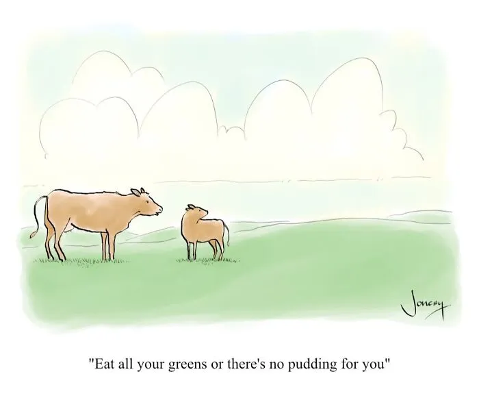 40 Hilariously Dry Cartoons By Jonesy About Relationships, Work And Everyday Life