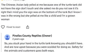 65 People With Main Character Syndrome Didn’t Get Special Treatment, So They Left A Nasty Review (New Pics)