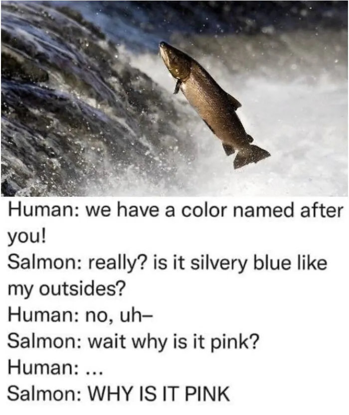 Roses Are Red, Let This Information Sink