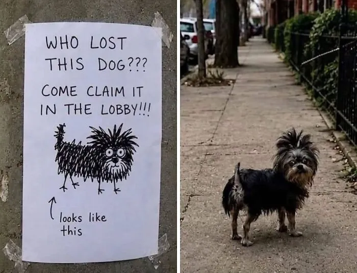 97 Funny Signs People Found In The Wild And Had To Photograph