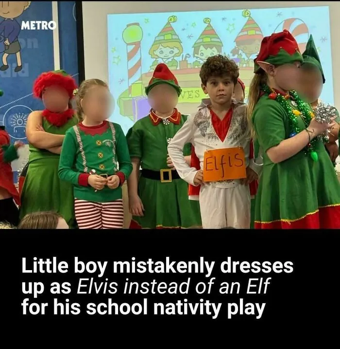 Roses Are Red, Theyre Turning The Frogs Gay,