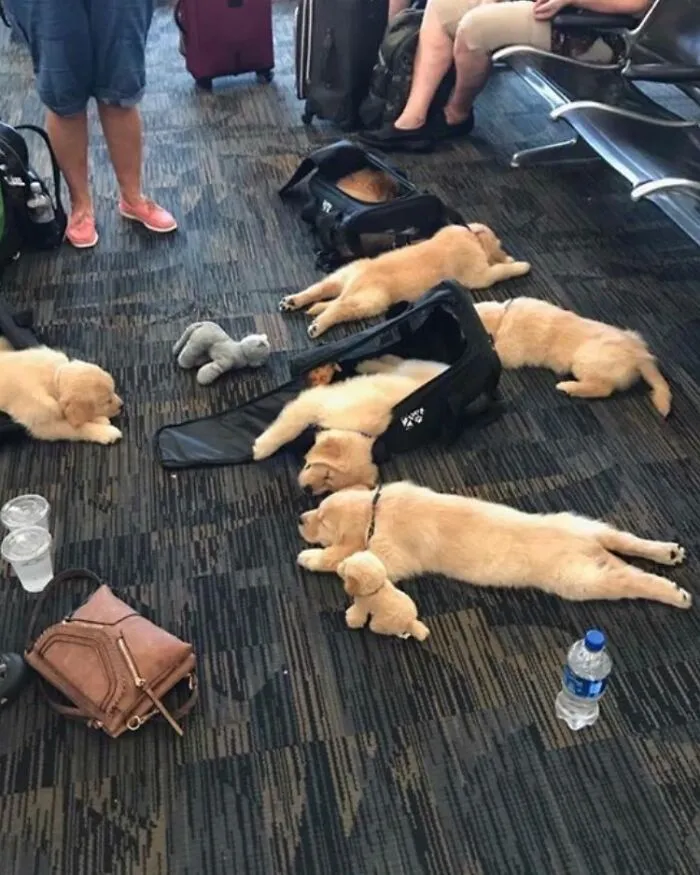 Recently At The Airport