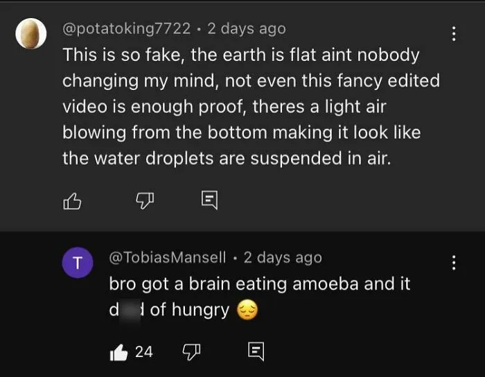 A screenshot of a YouTube comment about flat earth theory and a humorous reply, exemplifying funny YouTube comment section engagement.