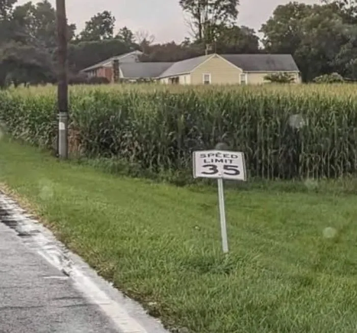 97 Funny Signs People Found In The Wild And Had To Photograph