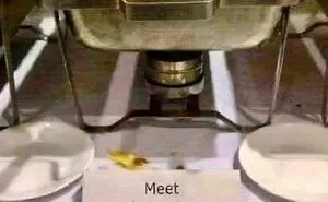 97 Funny Signs People Found In The Wild And Had To Photograph