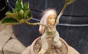 59 Funny Photos That Also Cause Concern About How Low People’s IQ Is Becoming