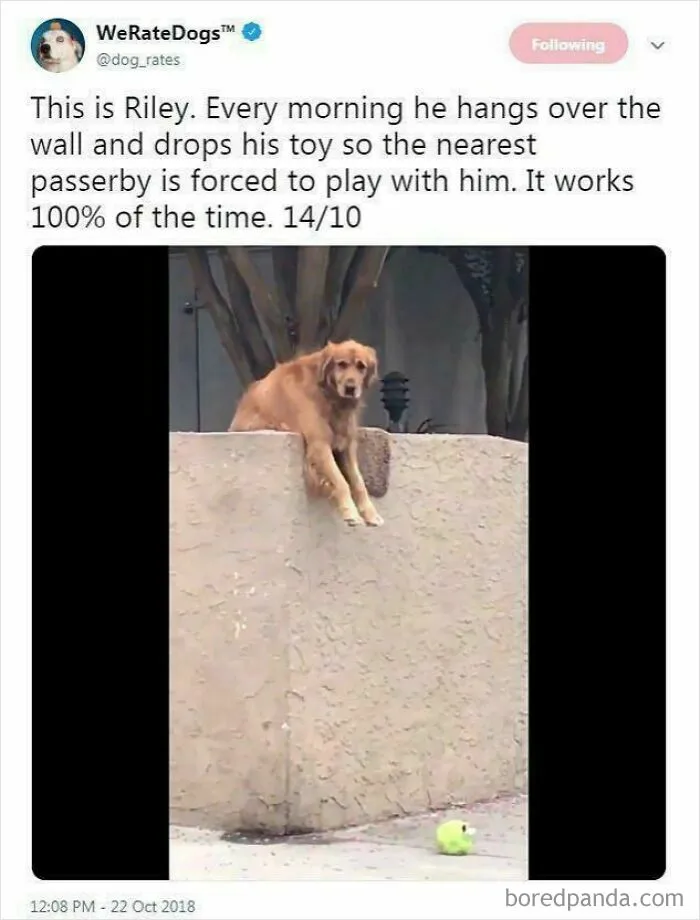 It Would Really Work On Me