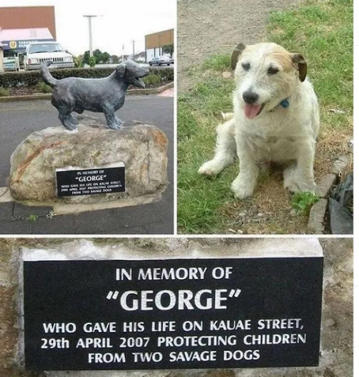 Just One Very Good Boy