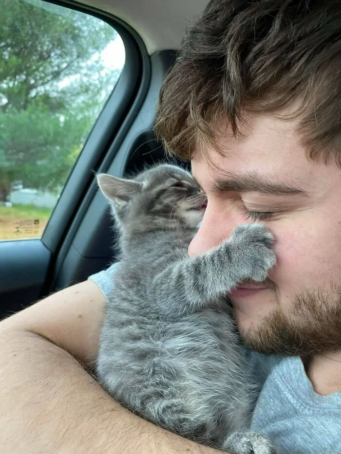 Kitten Kisses 🥺