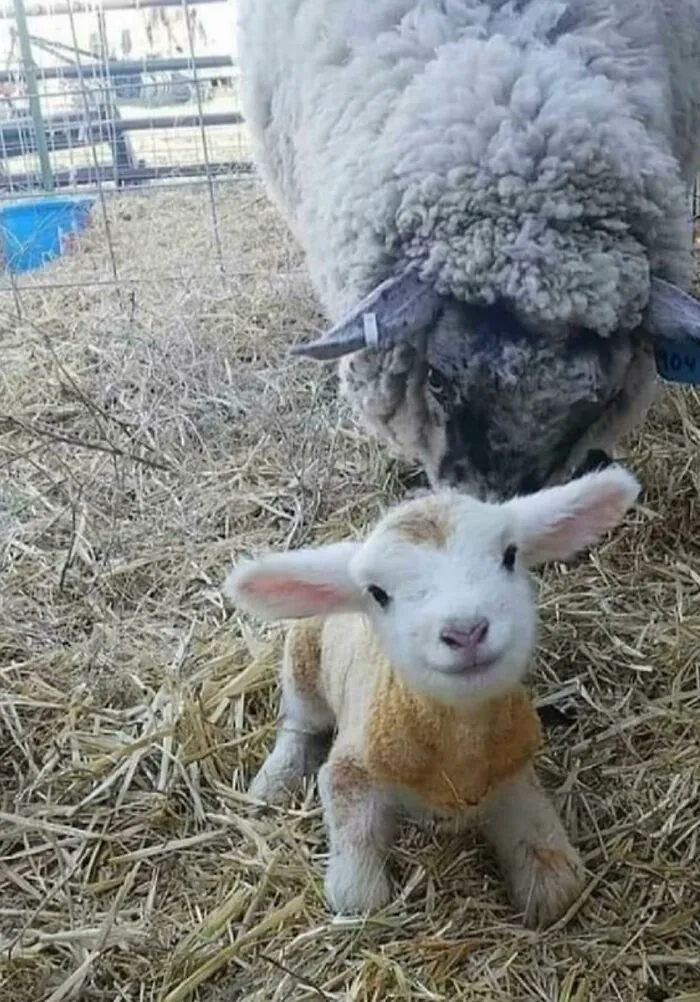 15 Minutes Old 🥰