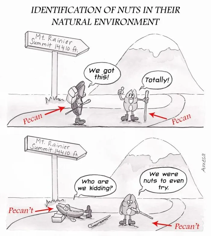 This Artist Created 20 Comics Full Of Clever Jokes And Unexpected Twists