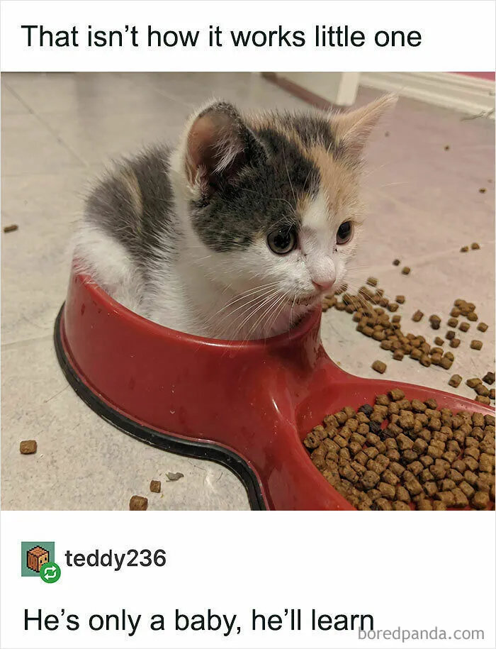 He’ll Learn