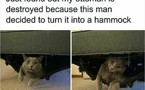107 Animal Photos That Are So Wholesome They May Bring You Good Vibes That Last For Days