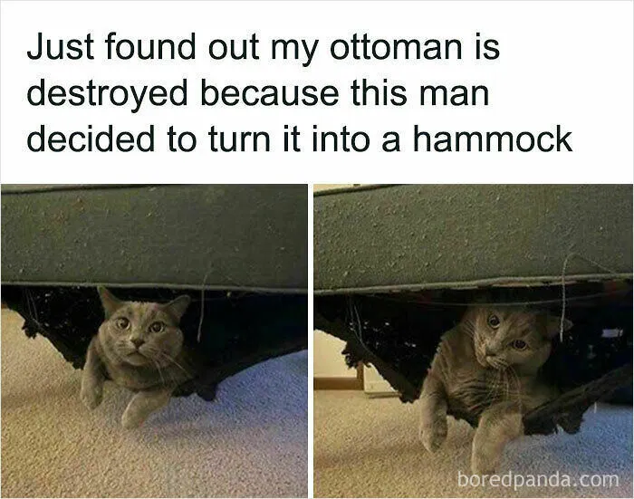 Hammock
