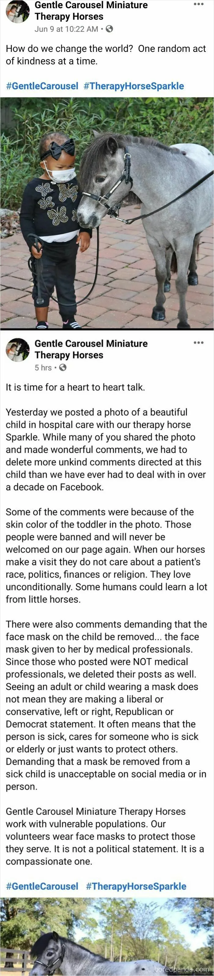 Controversy At The Tiny Horse Therapy Facebook Page