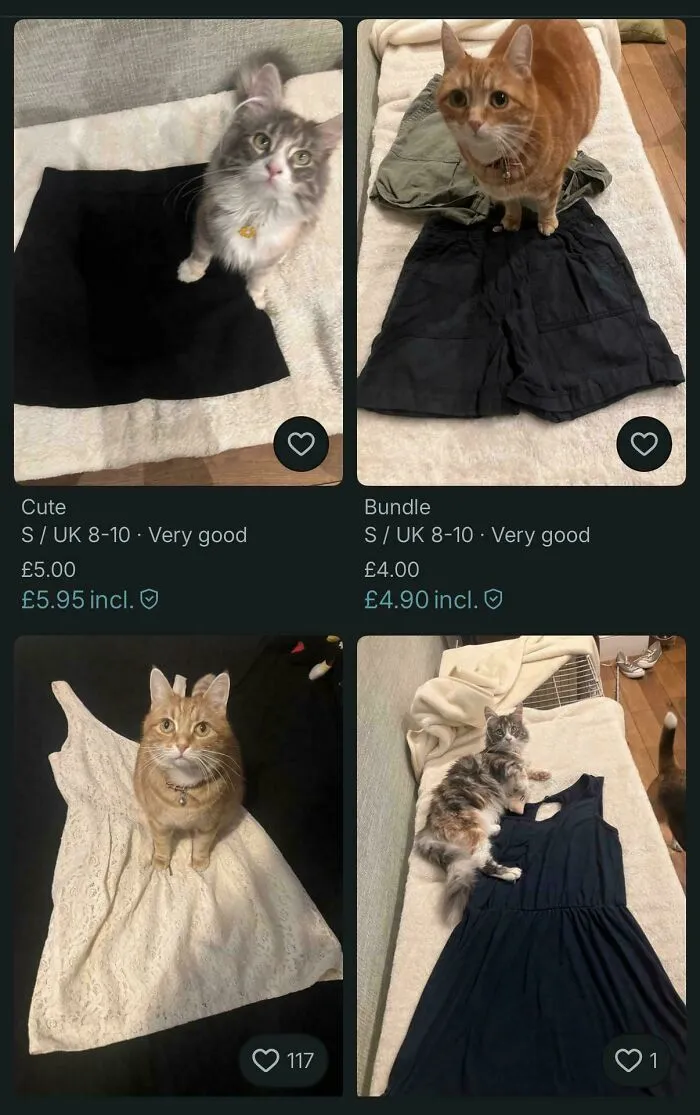 I Always Include “I Have Cats, And While Attempts To Remove All Hairs Have Been Made, Some May Remain” In The Description. But This Seller Needn’t Bother!