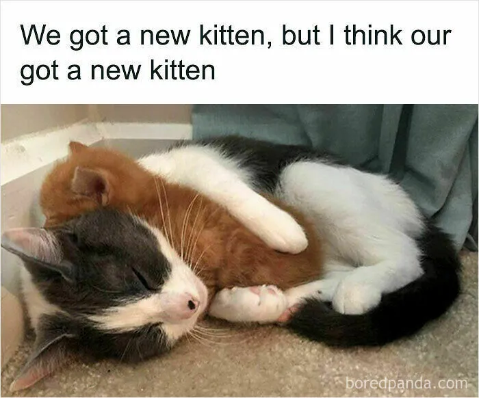 No Talk, Only Hold