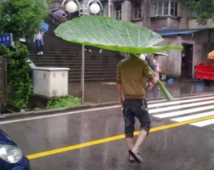 New Umbrella Design