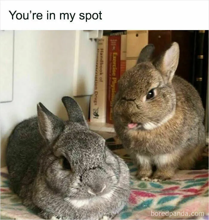 You're In My Spot
