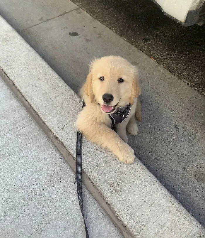 Hi How Are Ya