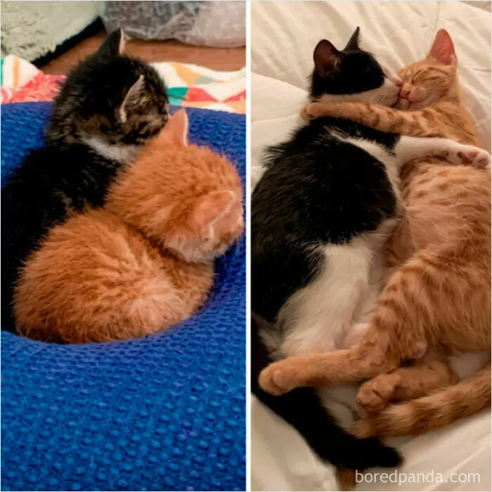 How It Started vs. How Its Going