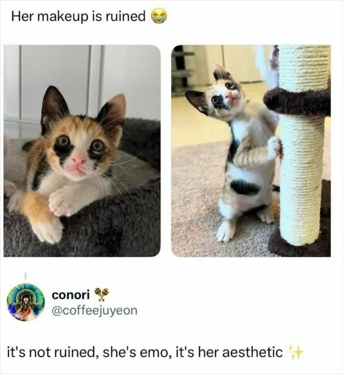 60 Memes For Anyone Who's Ever Sighed Audibly At Absolutely Nothing