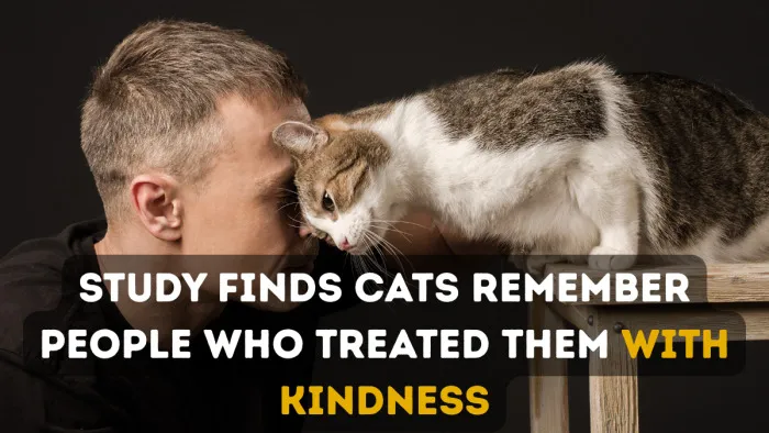 40 Facts And Stories You’ll Wish You’d Heard Sooner