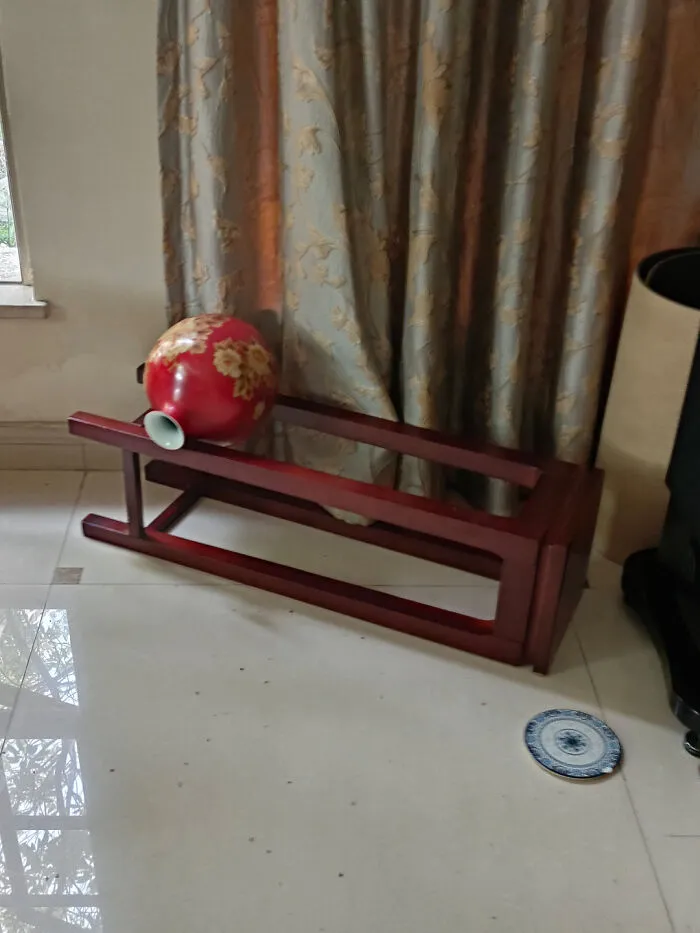 Can Any Physicist Or Cat Expert Tell Me How This Is Possible?