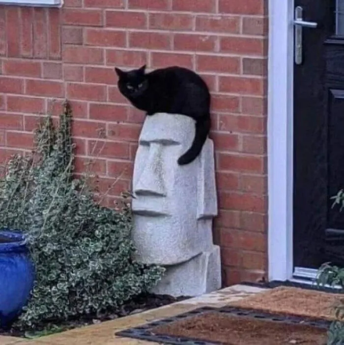 Now The Stonehenge Face Got Swag!