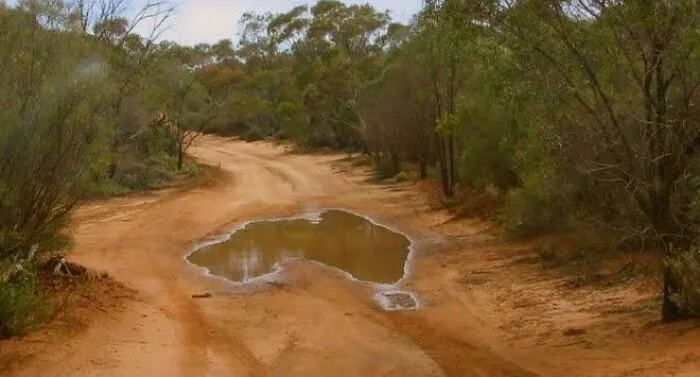 This Puddle Is The Same Shape As Australia, In Australia