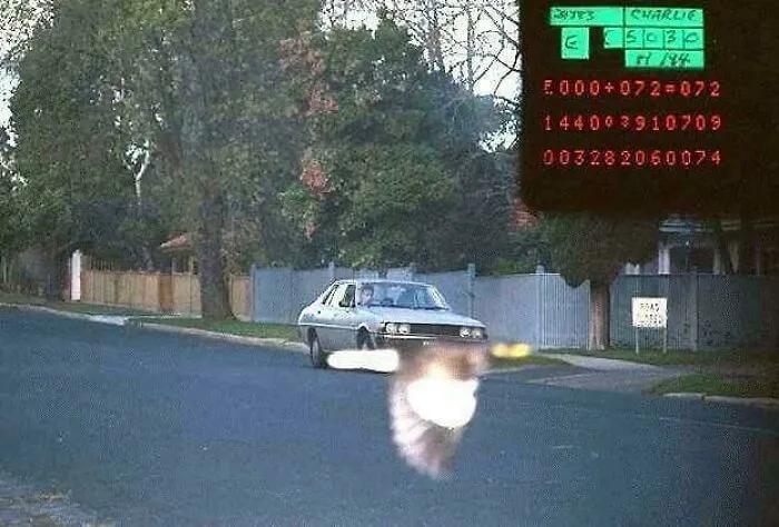 La página de Facebook de la policía publicó una foto tomada por un radar de velocidad. El pájaro salva la situación.