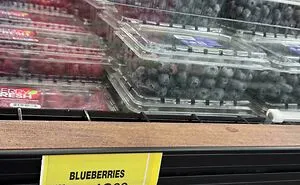 95 Dystopian Things That Have Somehow Become A Normal Part Of Everyday Life