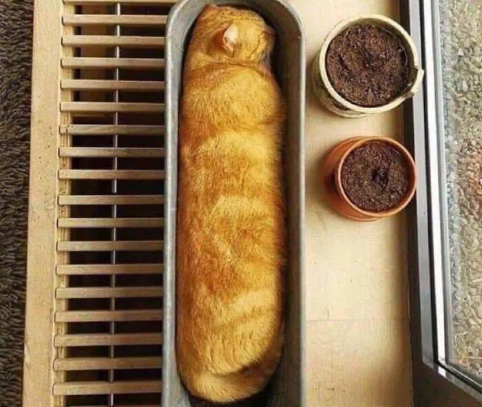 Forbidden Loaf Of Bread