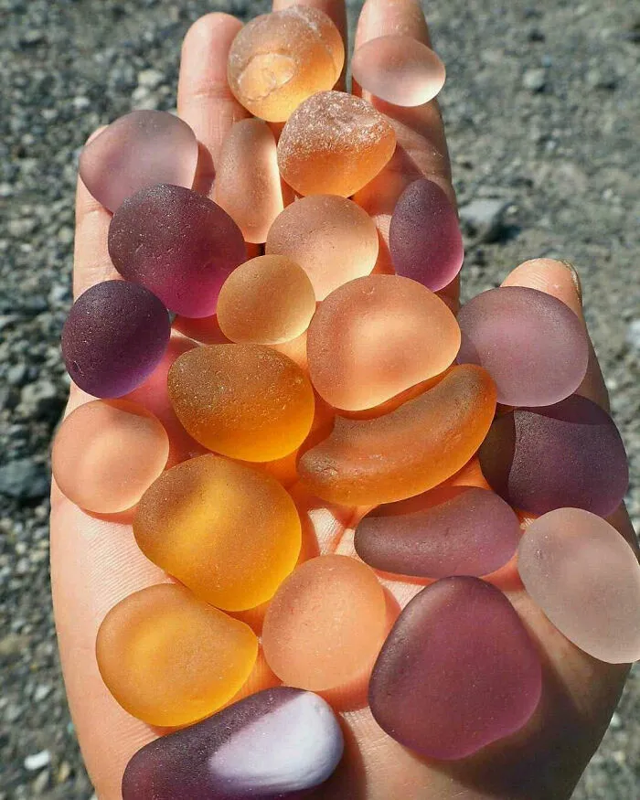 Rock Gummies