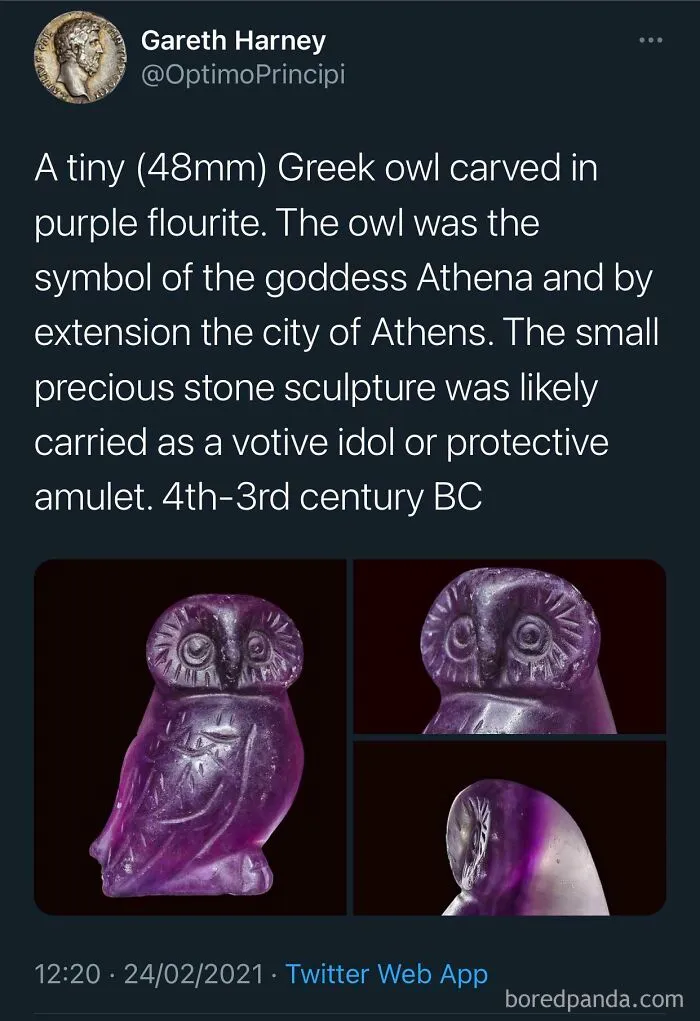 Forbidden Gummy Owl