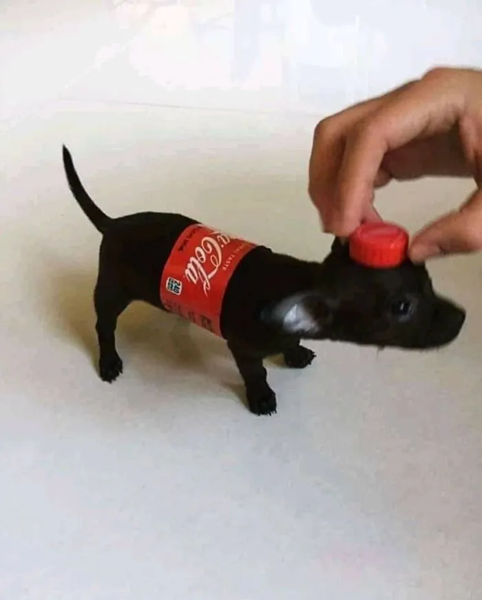 Forbidden Coke