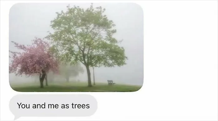 A screenshot of a text message with an image of two trees in the fog, captioned You and me as trees.