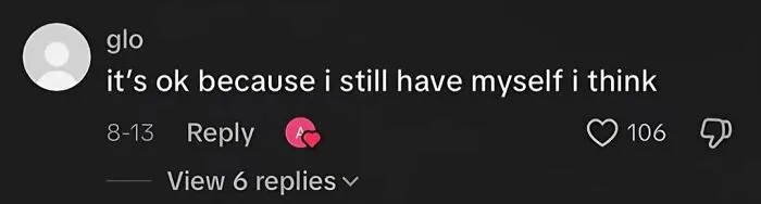 A screenshot of a comment saying it's ok because I still have myself, capturing the internet's strangest moments.