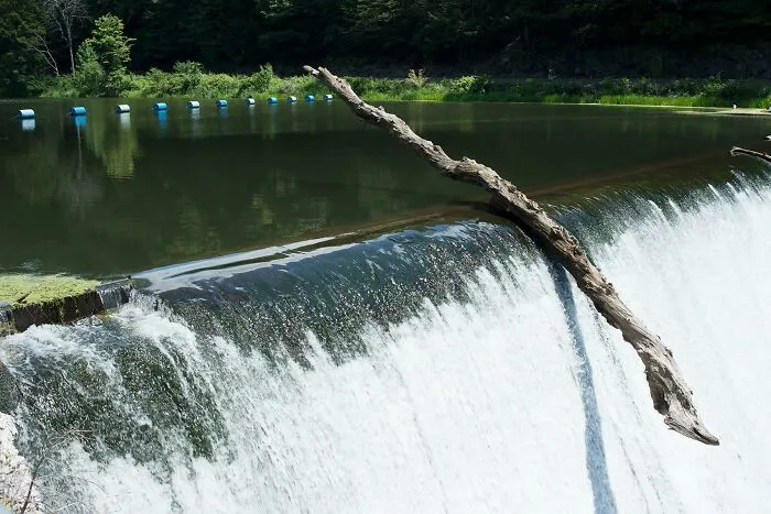This Perfectly Balanced Piece Of Driftwood On The Edge Of The Dam I Photographed Last Week