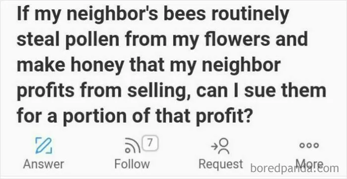 Suing Bees Is Logical