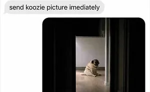 90 Hilarious Text Screenshots That Deserved To Escape The Group Chat