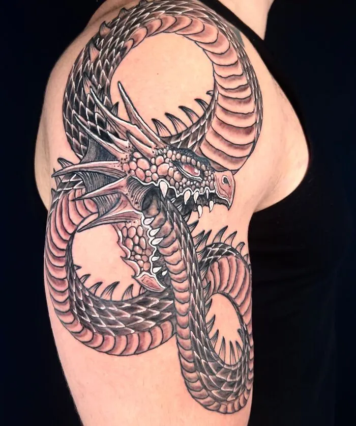 The Serpent That Eats Itself