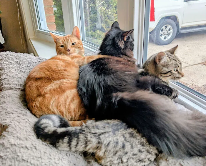 Nothing To See Here
