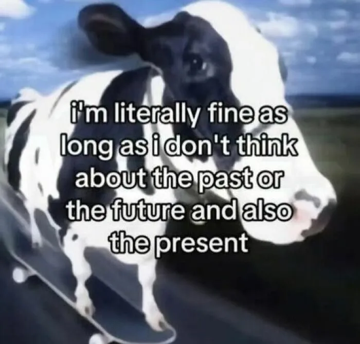 77 Times These Memes Nailed The Hilarious And Exhausting Realities Of Everyday Life (New Pics)